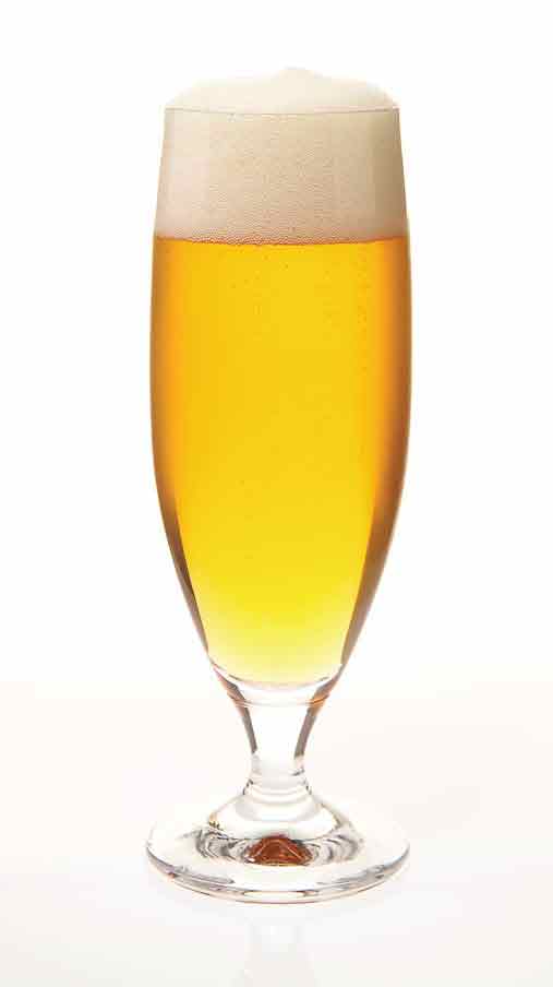 Glass of American style lager.