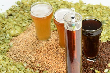 hydrometer in foreground, three beers in the background with grains and hops