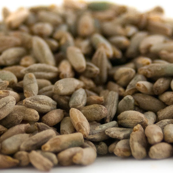 rye malt